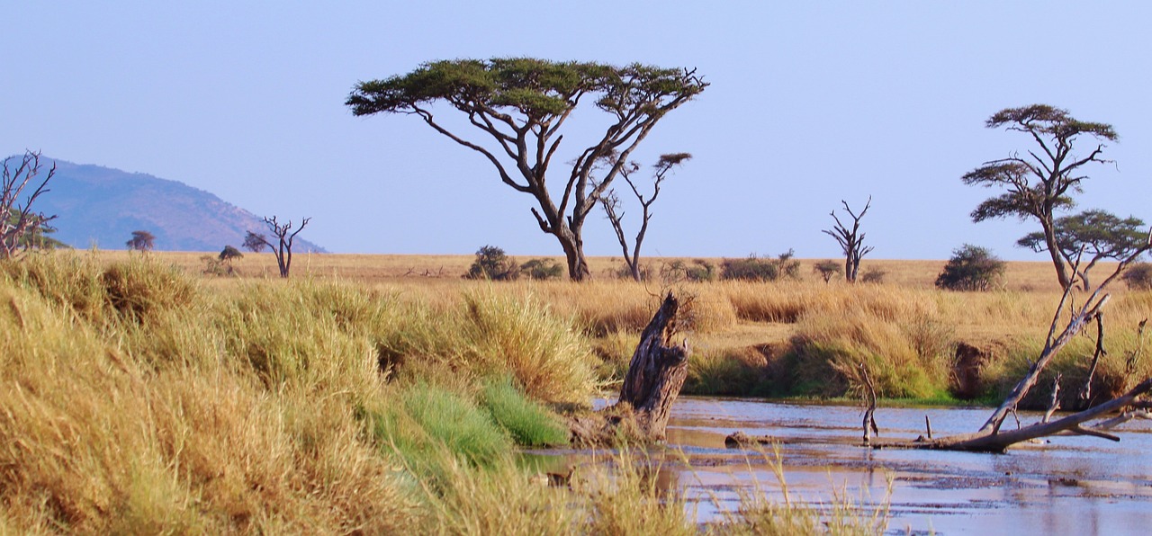 Safari en el Serengeti africano