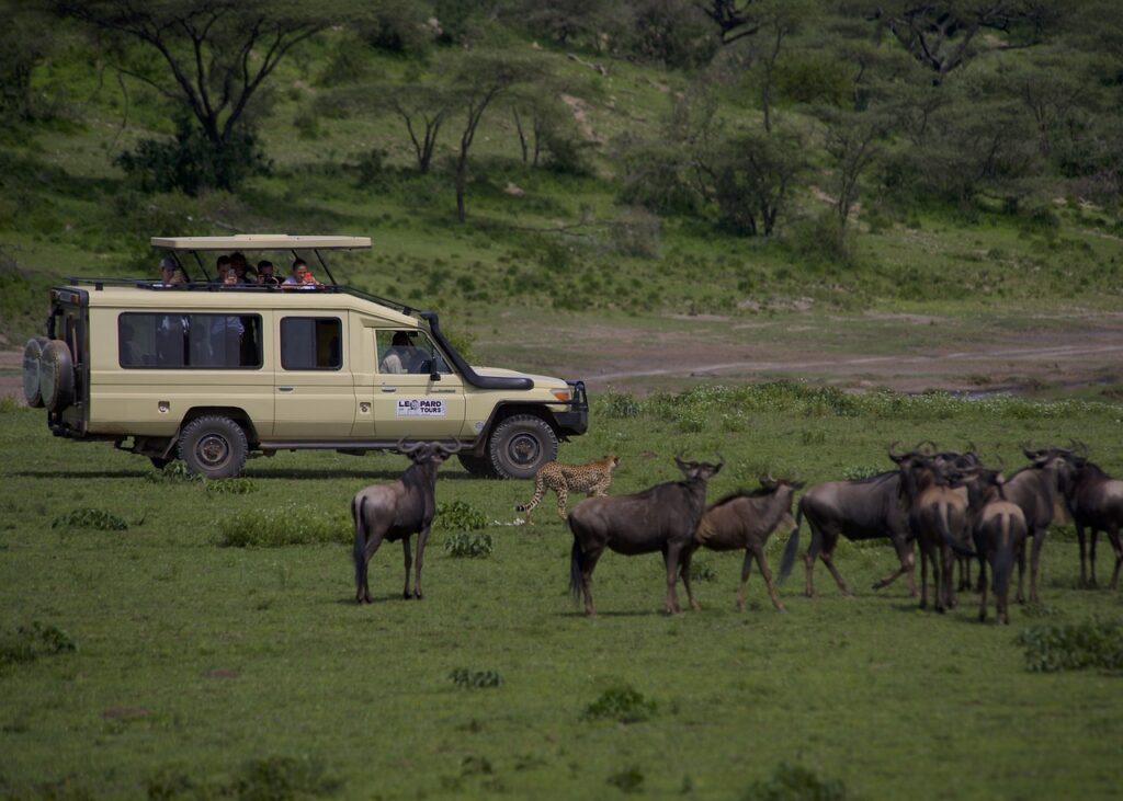 safari en serengeti