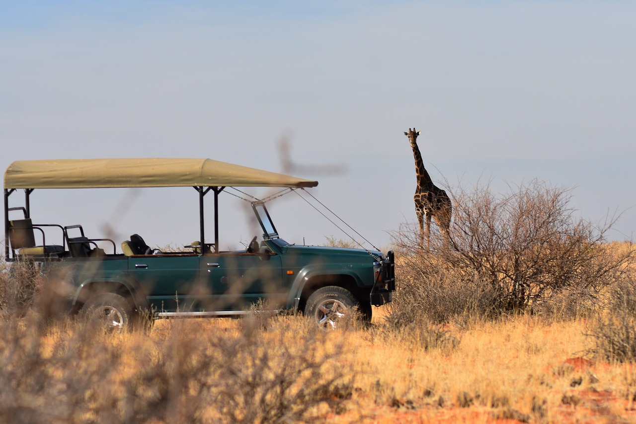 Precios de los safaris en Africa