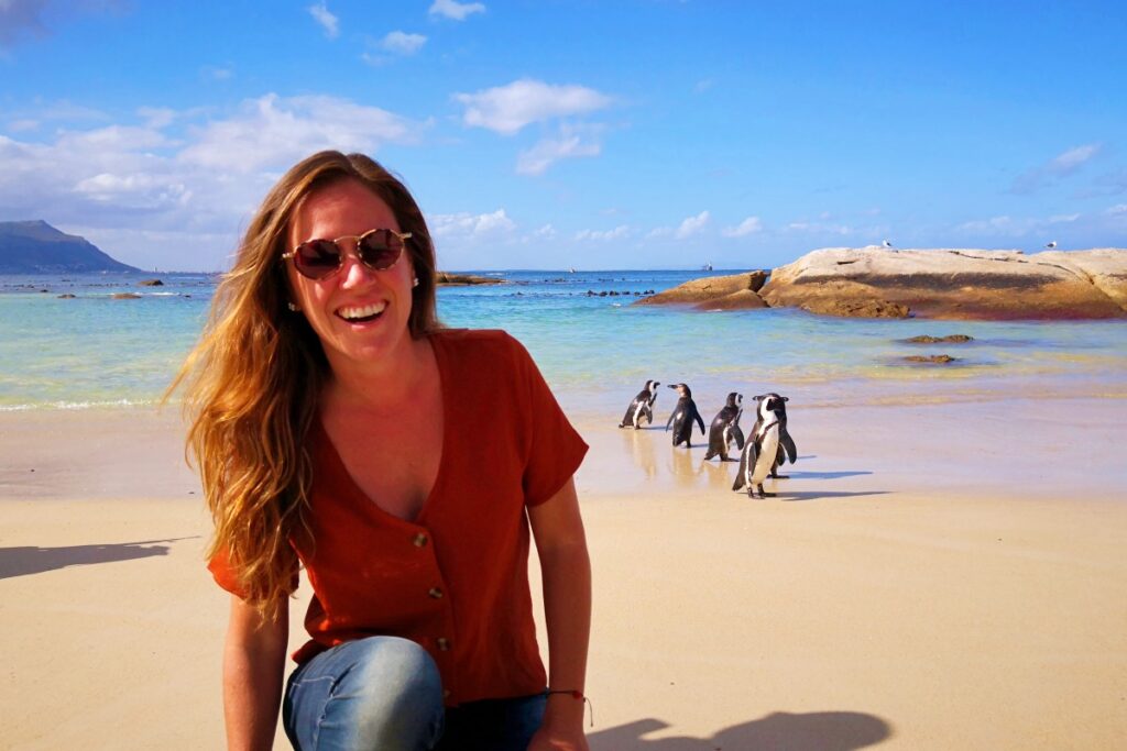 playa pinguinos ciudad del cabo